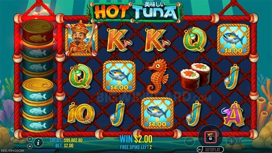 Responsible Gaming at Nustar