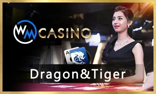 Nustar online gaming platform with various casino games